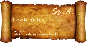 Szente Amina névjegykártya